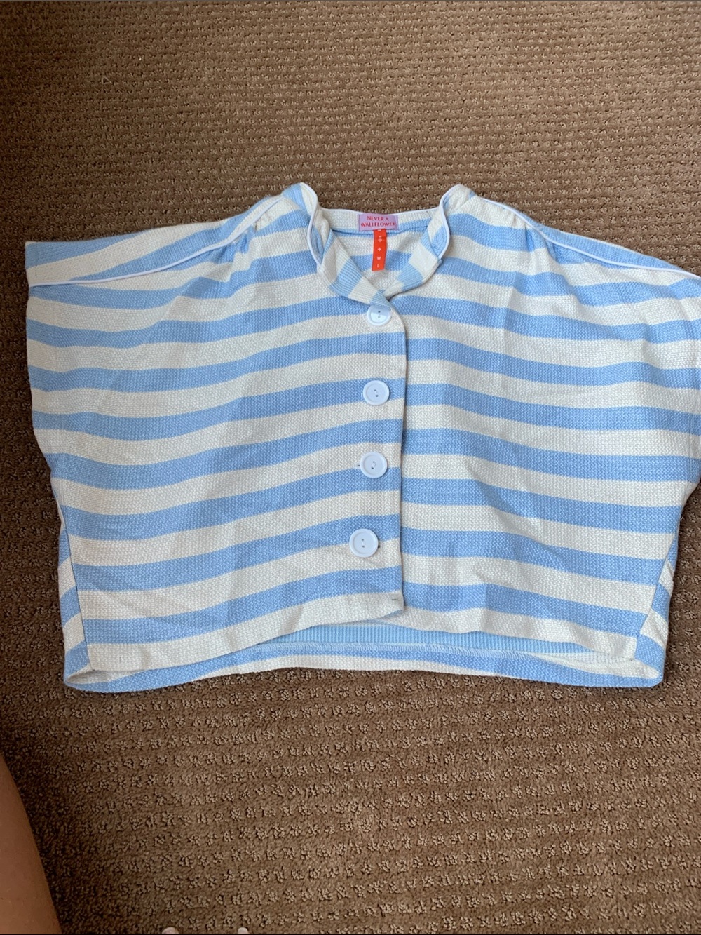 Never A Wallflower Light Blue & White Striped Button-Front top